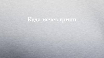 Михаил Лебедев - Куда исчез грипп - chelny-izvest.ru