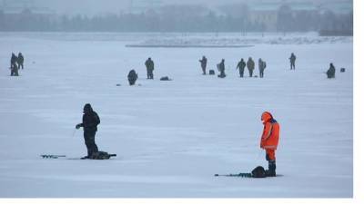 Более 600 людей заметили на льду акваторий в Курортном районе - piter.tv - Санкт-Петербург - р-н Приморский - район Курортный, Санкт-Петербург