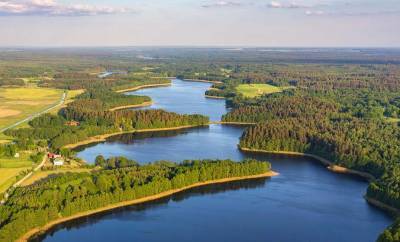 Беларусь входит в десятку лесных государств Европы - grodnonews.by - Белоруссия