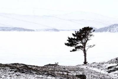 Фотографии Байкала, томские болота и бурятские рецепты. Сибирь за неделю - tayga.info - Барнаул - Иркутск - Омск