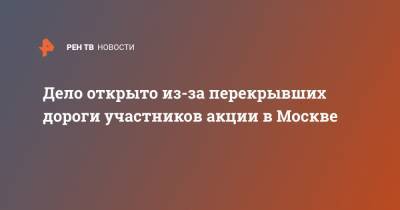 Дело открыто из-за перекрывших дороги участников акции в Москве - ren.tv - Москва