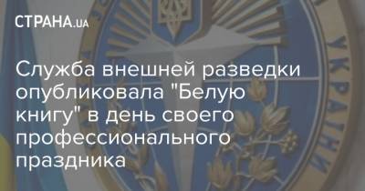 Служба внешней разведки опубликовала "Белую книгу" в день своего профессионального праздника - strana.ua
