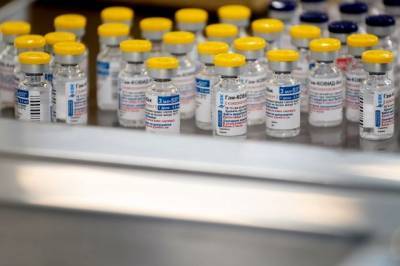 Николас Мадуро - Венесуэльский иммунолог рассказал об испытаниях вакцины «Спутник V» - aif.ru - Венесуэла - Аргентина