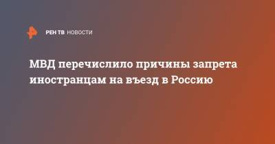 МВД перечислило причины запрета иностранцам на въезд в Россию - ren.tv