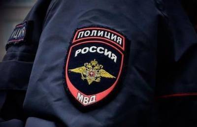 Полиция извинилась перед избитой силовиком россиянкой - pupolita.ru - Санкт-Петербург