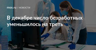 Владимир Ефимов - Анастасий Раков - Анастасия Ракова - Кирилл Пуртов - В декабре число безработных уменьшилось на треть - mos.ru - Москва