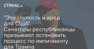 Дональд Трамп - Марко Рубио - "Это глупость и вред для США". Сенаторы-республиканцы призывают остановить процесс по импичменту для Трампа - strana.ua - США