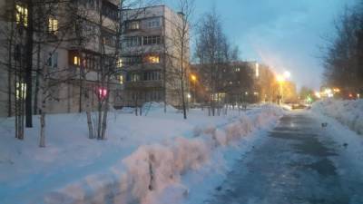 Свердловский Госжилстройнадзор проконтролирует уборку дворов от снега управляющими компаниями - nakanune.ru