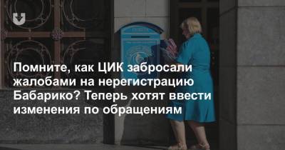 Помните, как ЦИК забросали жалобами на нерегистрацию Бабарико? Теперь хотят ввести изменения по обращениям - news.tut.by - Белоруссия