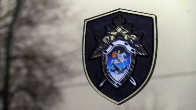 Поставкой неисправного программного обеспечения Минфину заинтересовался СК - polit.info