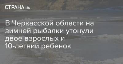 В Черкасской области на зимней рыбалки утонули двое взрослых и 10-летний ребенок - strana.ua - Черкасская обл. - Львовская обл. - Житомир - район Каневский