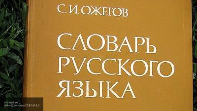 Названы последствия «выключения» русского языка на Украине - newinform.com - Украина - Латвия