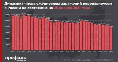 В России выявили минимум по числу новых случаев COVID-19 с 3 ноября - profile.ru - Москва - Россия - Санкт-Петербург - Московская обл.