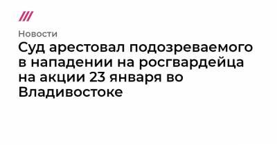 Алексей Навальный - Суд арестовал подозреваемого в нападении на росгвардейца на акции 23 января во Владивостоке - tvrain.ru - Приморье край - Владивосток