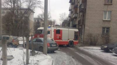 Сотрудники МЧС спасли из горящей квартиры на Московском шоссе пять кошек - piter.tv - Санкт-Петербург