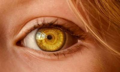 Медики установили связь между цветом глаз и предрасположенностью к заболеваниям - lenta.ua - США