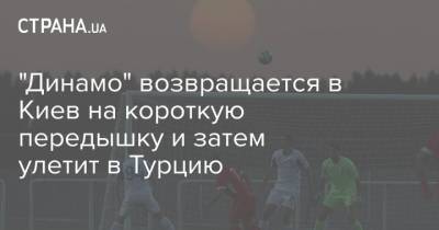 Мирча Луческу - "Динамо" возвращается в Киев на короткую передышку и затем улетит в Турцию - strana.ua - Киев - Турция - Эмираты - Луческ