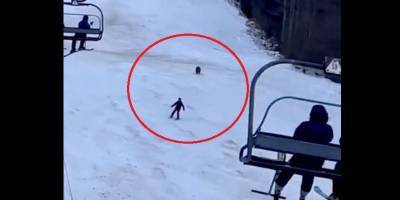 Очевидцы сняли погоню медведя за лыжником на курорте в Румынии — видео - nv.ua - Румыния