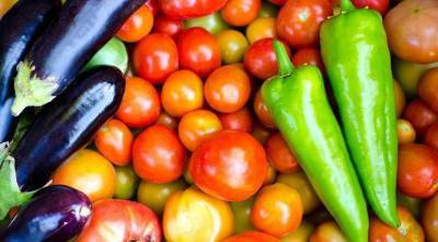 Семена томатов, перцев и баклажанов: краткая подсказка по выбору сортов овощей для посева на рассаду - skuke.net