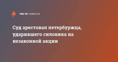 Суд арестовал петербуржца, ударившего силовика на незаконной акции - ren.tv - Санкт-Петербург