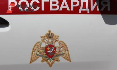 Посетитель кафе в Коркино открыл стрельбу по бойцам Росгвардии - fedpress.ru - Екатеринбург - Челябинская обл.