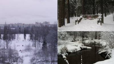 Петербуржцы требуют исправить ошибки на информационных стендах в Шуваловском парке - nation-news.ru - Петербурга