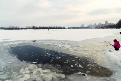 В Киеве мальчика понесло на льдине по Днепр - kp.ua - Украина - Киев - район Оболонский