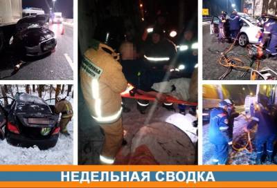 Спасатели Ленобласти за неделю помогли местным жителям 26 раз - online47.ru - Ленинградская обл.