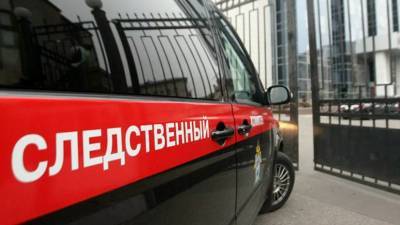 СК завёл дело после падения глыбы льда на школьницу под Тверью - russian.rt.com - Тверь - Тверская обл.