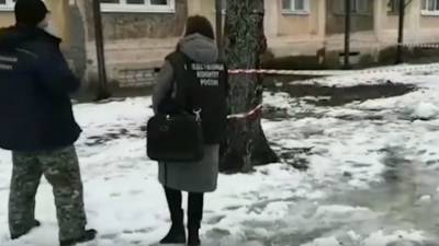 Тверские следователи завели дело после падения ледяной глыбы на ребенка - vesti.ru - Тверь - Тверская обл.