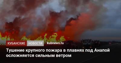 Тушение крупного пожара в плавнях под Анапой осложняется сильным ветром - kubnews.ru - Анапа