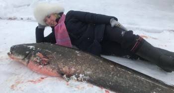 Двухметровый сом стал добычей череповчанки - vologda-poisk.ru - Череповец