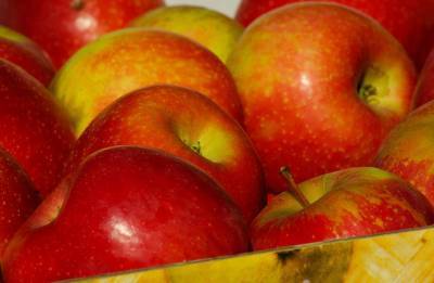 Яблоки за неделю подскочили в цене на 25% - agroportal.ua - Украина