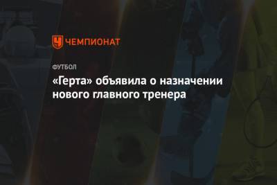 «Герта» объявила о назначении нового главного тренера - championat.com - Венгрия