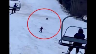 Очевидцы сняли погоню медведя за лыжником на курорте в Румынии - ru.espreso.tv - Румыния