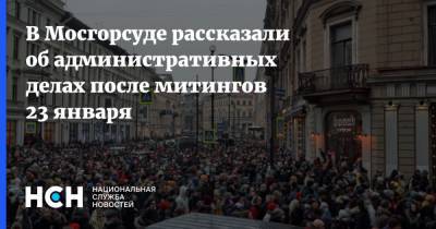 Владимир Путин - Алексей Навальный - Ульяна Солопова - В Мосгорсуде рассказали об административных делах после митингов 23 января - nsn.fm