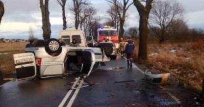 Под Гурьевском легковушка врезалась в дерево и опрокинулась, погиб пассажир - klops.ru - Гурьевск