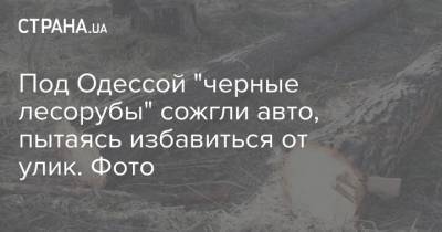 Под Одессой "черные лесорубы" сожгли авто, пытаясь избавиться от улик. Фото - strana.ua - Одесса