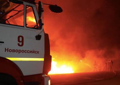 В Анапе горит камыш - m24.ru - Анапа - Краснодарский край