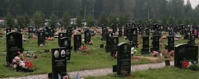 В Новосибирской области в 2020 году смертность выросла на 19% - runews24.ru - Москва - Санкт-Петербург - окр. Янао - Новосибирская обл.