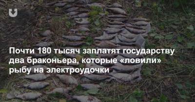 Почти 180 тысяч заплатят государству два браконьера, которые «ловили» рыбу на электроудочки - news.tut.by