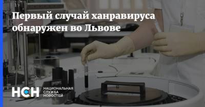 Первый случай ханравируса обнаружен во Львове - nsn.fm - Украина - Львов - Львовская обл.