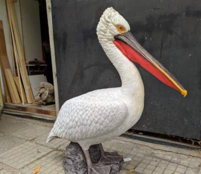 Сберечь пеликанов: в дельте Дуная хотят поставить «манекены» для привлечения редких птиц - odessa-life.od.ua - Дунай