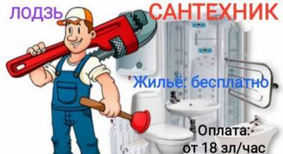 Владимир Корнилов - «Вызывайте польских сантехников». Кукловоды майданщиков... - politnavigator.net - Белоруссия - Польша