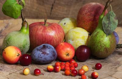 Производитель: Яблоки — выгоднее слив, но сливы — это первые деньги - agroportal.ua