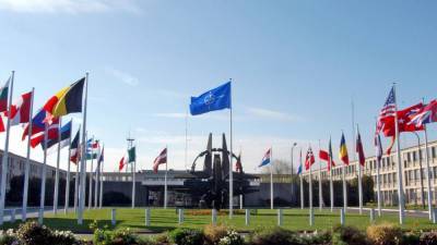 Медиагруппа "Патриот" обсудит взаимодействие НАТО со всем миром - polit.info - США