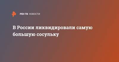 В России ликвидировали самую большую сосульку - ren.tv - Пермь