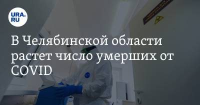 В Челябинской области растет число умерших от COVID. Среди зараженных все больше школьников - ura.news - Челябинская обл.
