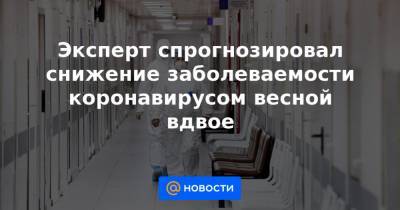 Владимир Путин - Эксперт спрогнозировал снижение заболеваемости коронавирусом весной вдвое - news.mail.ru