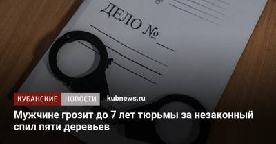 Мужчине грозит до 7 лет тюрьмы за незаконный спил пяти деревьев - kubnews.ru - Краснодарский край - Тимашевск
